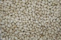 Chinese High-clsss AAA Pistachio nuts for wholesale