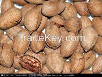 CQC Pecan nuts