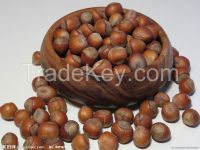 fresh chestnut