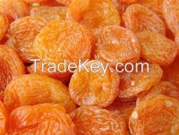 Quality Inspection dried fruits preserved apricots