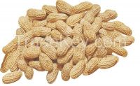 Roasted peanut in shells 300g retail packing