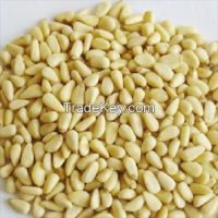 Organic Pine Nut Kernels For Food,Wholesale Pine Nut Kernel from China, raw cheap Pine Nut kernels for sale