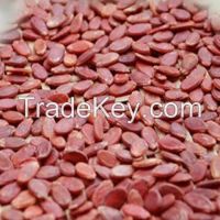 Chinese new cheap best water melon seeds