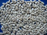 2014 crop long confectionery sunflower seeds kernel(870pcs/50g)