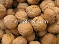 Fenzhou Walnuts Mayifang Light Halves Walnut meat,raw walnut Kernel