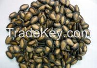 Fresh organic black water melon seeds for sale, professional exporter