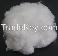 polyester staple fiber  PSF 