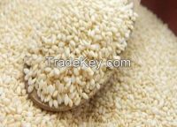 Sesame Seeds