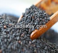 Sesame Seeds