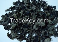 top quality dried black fungus