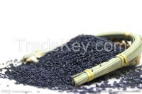 high purity natural Black Sesame Seed Extract Powder Sesamin 98% HPLC