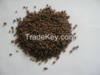best price diammonium phosphate dap fertilizer