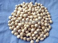 Chinese herb medicine Semen Ginkgo Bilobae ginkgo nut