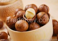 Export Macadamia to China