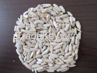Sunflower kernel for oil extraction 2013 crop
