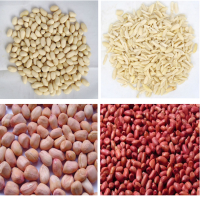 Blanched Split Peanut
