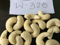 High Quality Raw Cashew Nuts w-240 cashew nuts