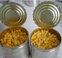 Canned Sweet Corn