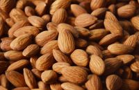 Hot Selling Almond Kernel / Bitter Almond Kernel / Sweet Almond Kernel