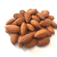 2018 Chinese Almond in Shell Wholesale Almond Kernel Price