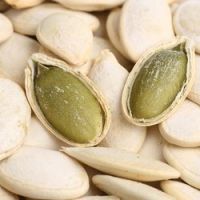 Export Quality of Raw Snow White Pumpkin seeds and 100% Peeled Kernels