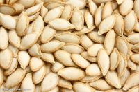 Chinese Dried Raw Snow White Pumpkin Seeds In Shell