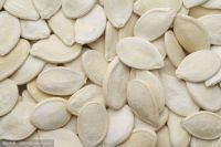 Import in shell raw snow white pumpkin seeds factory