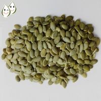 Hand Pick raw processing pumpkin seed