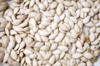 Golden Supplier of raw pumpkin seeds