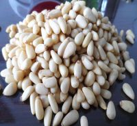Red pine nuts kernels 2016 crop