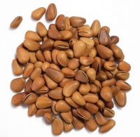 Organic Dried Pine Nut