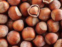 Organic nuts in shell high quality hazel nut