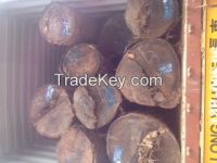 Laos Keruing Timber