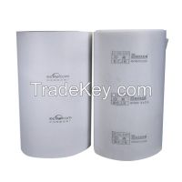 Roof filter for spray booth