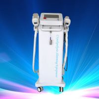 New Cryolipolysis weight loss+body slimming with CE proved