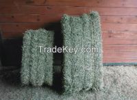 Alfalfa Hay, Oats Hay, Rhodes Grass Bales, Luzerme Alfalfa Dehydrated