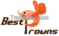 Prawns (vennamei)