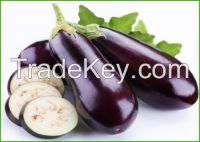 Fresh Eggplant