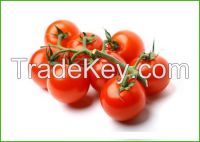 https://es.tradekey.com/product_view/Bunch-Coctail-Tomatoes-7749195.html