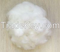 SD RW Virgin polyester staple fiber