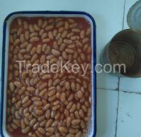 canned white kidney beans in tomato sauce