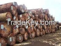 African Hardwood Logs and Timber