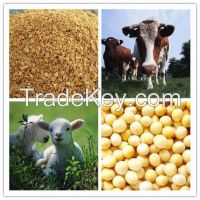 Soybean meal for animal feed