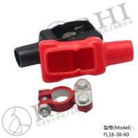 Battery terminals and battery terminal covers