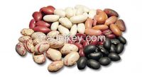 https://fr.tradekey.com/product_view/Dry-Edible-Beans-7932863.html