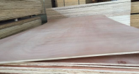  Construction Ply Wood