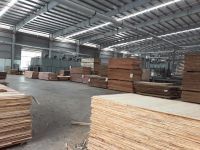  Indoor Ply Wood