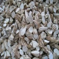 Fresh Cassava