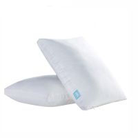  BBest price pillow
