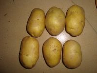 Best Price Potatoes